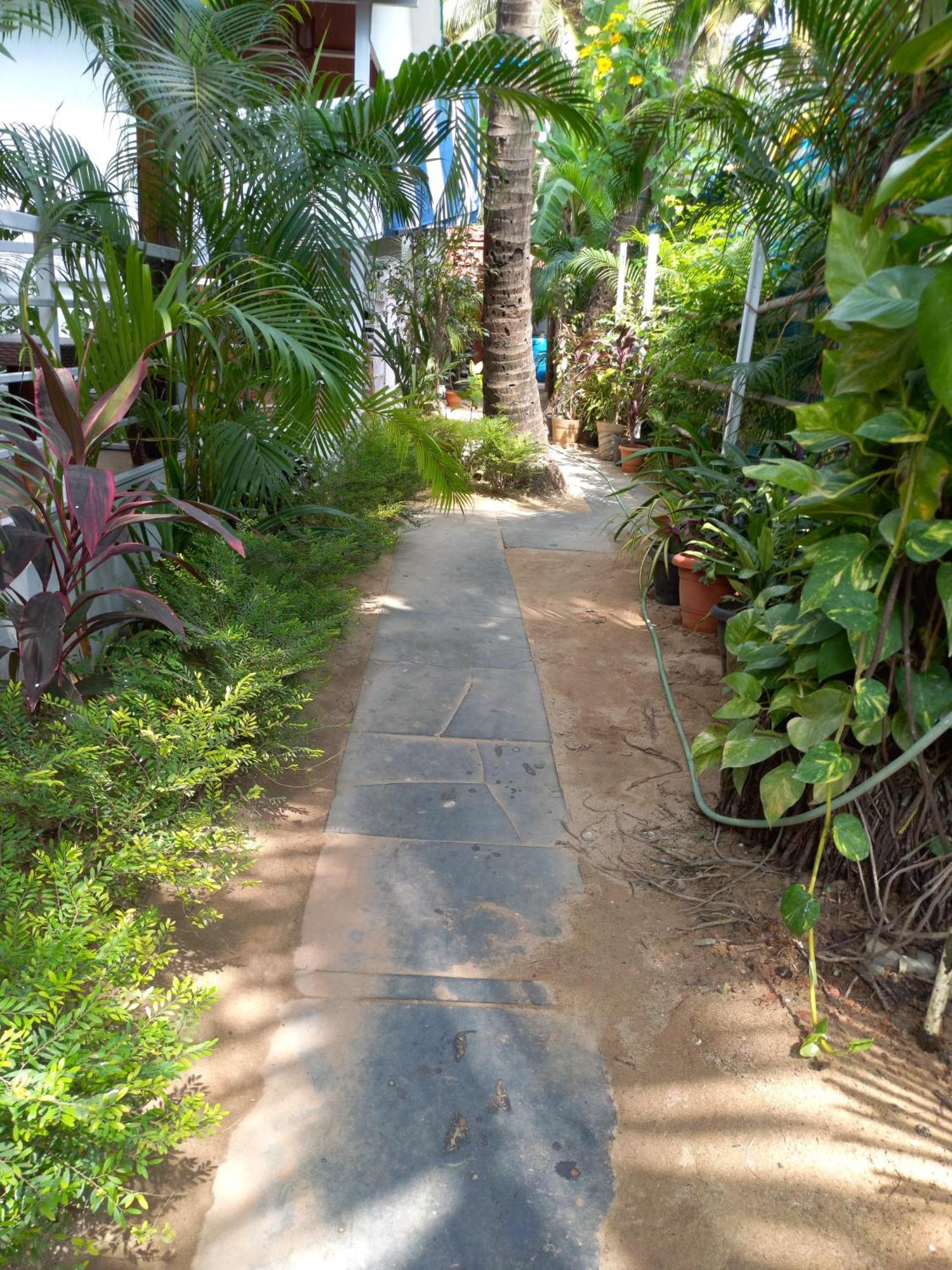 Royal Castle Resort Palolem, Canacona Esterno foto